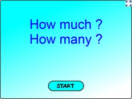 Complete the sentences using how much or how many