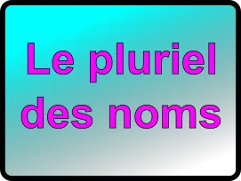 Le pluriel des noms