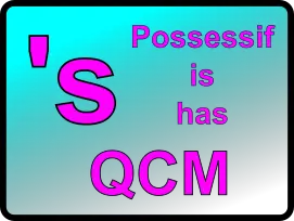 QCM : Possessif, is ou has