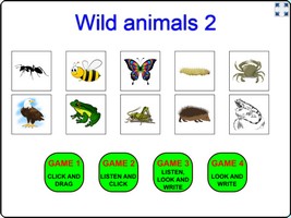 Wild animals 2